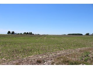 TRACT 5 - LAND AUCTION - 472+/- ACRES IN 7 TRACTS IN GRANT COUNTY, INDIANA