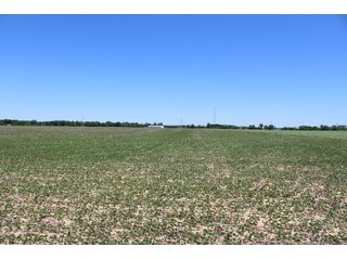 Property photo 53 - LAND AUCTION - 472+/- ACRES IN 7 TRACTS IN GRANT COUNTY, INDIANA