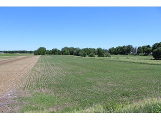 TRACT 7 - LAND AUCTION - 472+/- ACRES IN 7 TRACTS IN GRANT COUNTY, INDIANA