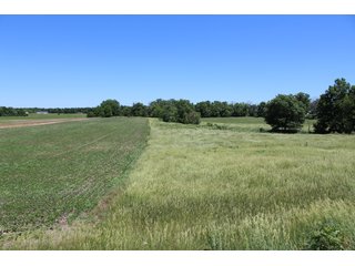 Property photo 38 - LAND AUCTION - 472+/- ACRES IN 7 TRACTS IN GRANT COUNTY, INDIANA