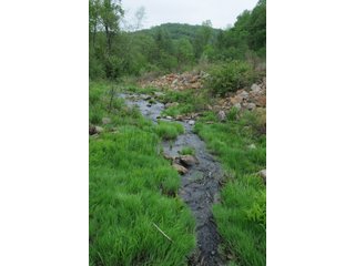 Property photo 97 - LAND AUCTION - 1,050+/- ACRES OFFERED IN 21 TRACTS PLUS 450+/- ACRE HUNTING LEASE IN MUSKINGUM COUNTY, OHIO