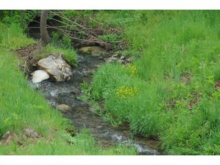 Property photo 98 - LAND AUCTION - 1,050+/- ACRES OFFERED IN 21 TRACTS PLUS 450+/- ACRE HUNTING LEASE IN MUSKINGUM COUNTY, OHIO