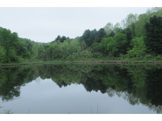 Property photo 81 - LAND AUCTION - 1,050+/- ACRES OFFERED IN 21 TRACTS PLUS 450+/- ACRE HUNTING LEASE IN MUSKINGUM COUNTY, OHIO