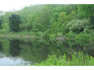 Property photo 80 - LAND AUCTION - 1,050+/- ACRES OFFERED IN 21 TRACTS PLUS 450+/- ACRE HUNTING LEASE IN MUSKINGUM COUNTY, OHIO