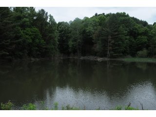 Property photo 66 - LAND AUCTION - 1,050+/- ACRES OFFERED IN 21 TRACTS PLUS 450+/- ACRE HUNTING LEASE IN MUSKINGUM COUNTY, OHIO