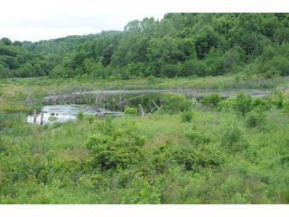 Property photo 71 - LAND AUCTION - 1,050+/- ACRES OFFERED IN 21 TRACTS PLUS 450+/- ACRE HUNTING LEASE IN MUSKINGUM COUNTY, OHIO
