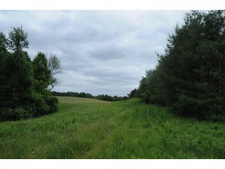 Property photo 48 - LAND AUCTION - 1,050+/- ACRES OFFERED IN 21 TRACTS PLUS 450+/- ACRE HUNTING LEASE IN MUSKINGUM COUNTY, OHIO