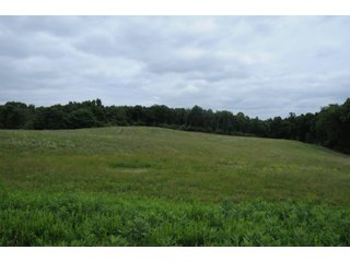 Property photo 49 - LAND AUCTION - 1,050+/- ACRES OFFERED IN 21 TRACTS PLUS 450+/- ACRE HUNTING LEASE IN MUSKINGUM COUNTY, OHIO
