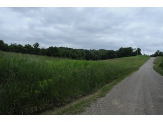Property photo 33 - LAND AUCTION - 1,050+/- ACRES OFFERED IN 21 TRACTS PLUS 450+/- ACRE HUNTING LEASE IN MUSKINGUM COUNTY, OHIO