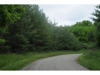 Property photo 30 - LAND AUCTION - 1,050+/- ACRES OFFERED IN 21 TRACTS PLUS 450+/- ACRE HUNTING LEASE IN MUSKINGUM COUNTY, OHIO