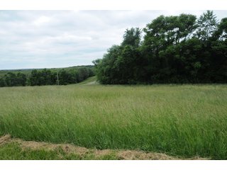 Property photo 17 - LAND AUCTION - 1,050+/- ACRES OFFERED IN 21 TRACTS PLUS 450+/- ACRE HUNTING LEASE IN MUSKINGUM COUNTY, OHIO