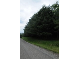 Property photo 18 - LAND AUCTION - 1,050+/- ACRES OFFERED IN 21 TRACTS PLUS 450+/- ACRE HUNTING LEASE IN MUSKINGUM COUNTY, OHIO