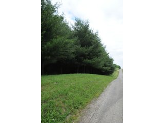 Property photo 16 - LAND AUCTION - 1,050+/- ACRES OFFERED IN 21 TRACTS PLUS 450+/- ACRE HUNTING LEASE IN MUSKINGUM COUNTY, OHIO
