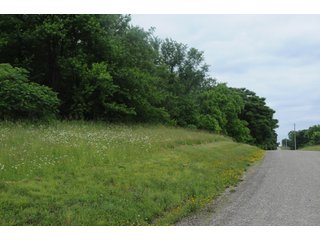 Property photo 10 - LAND AUCTION - 1,050+/- ACRES OFFERED IN 21 TRACTS PLUS 450+/- ACRE HUNTING LEASE IN MUSKINGUM COUNTY, OHIO