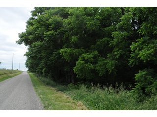 Property photo 6 - LAND AUCTION - 1,050+/- ACRES OFFERED IN 21 TRACTS PLUS 450+/- ACRE HUNTING LEASE IN MUSKINGUM COUNTY, OHIO