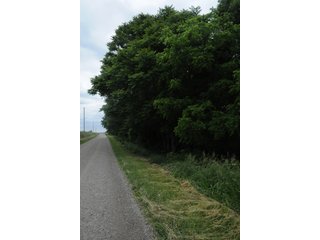 Property photo 8 - LAND AUCTION - 1,050+/- ACRES OFFERED IN 21 TRACTS PLUS 450+/- ACRE HUNTING LEASE IN MUSKINGUM COUNTY, OHIO
