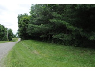 Property photo 7 - LAND AUCTION - 1,050+/- ACRES OFFERED IN 21 TRACTS PLUS 450+/- ACRE HUNTING LEASE IN MUSKINGUM COUNTY, OHIO