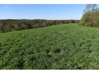 Property photo 104 - LAND AUCTION - 1,050+/- ACRES OFFERED IN 21 TRACTS PLUS 450+/- ACRE HUNTING LEASE IN MUSKINGUM COUNTY, OHIO