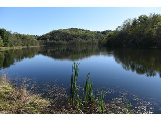 Property photo 86 - LAND AUCTION - 1,050+/- ACRES OFFERED IN 21 TRACTS PLUS 450+/- ACRE HUNTING LEASE IN MUSKINGUM COUNTY, OHIO