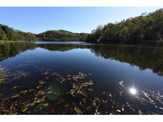 Property photo 87 - LAND AUCTION - 1,050+/- ACRES OFFERED IN 21 TRACTS PLUS 450+/- ACRE HUNTING LEASE IN MUSKINGUM COUNTY, OHIO