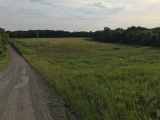Property photo 32 - LAND AUCTION - 1,050+/- ACRES OFFERED IN 21 TRACTS PLUS 450+/- ACRE HUNTING LEASE IN MUSKINGUM COUNTY, OHIO