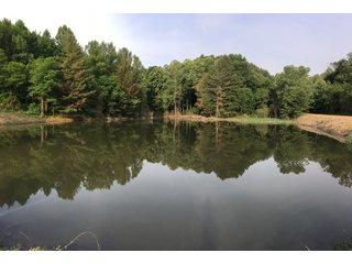 Property photo 67 - LAND AUCTION - 1,050+/- ACRES OFFERED IN 21 TRACTS PLUS 450+/- ACRE HUNTING LEASE IN MUSKINGUM COUNTY, OHIO