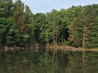 Property photo 64 - LAND AUCTION - 1,050+/- ACRES OFFERED IN 21 TRACTS PLUS 450+/- ACRE HUNTING LEASE IN MUSKINGUM COUNTY, OHIO