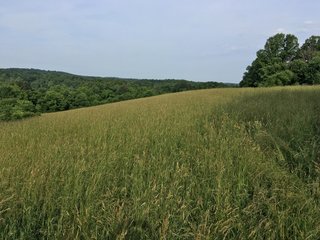 Property photo 103 - LAND AUCTION - 1,050+/- ACRES OFFERED IN 21 TRACTS PLUS 450+/- ACRE HUNTING LEASE IN MUSKINGUM COUNTY, OHIO