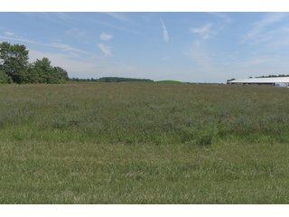 Property photo 46 - OHIO DAIRY DISPERSAL AUCTION - 160+/- ACRES OFFERED IN 5 TRACTS IN DEFIANCE COUNTY, OHIO