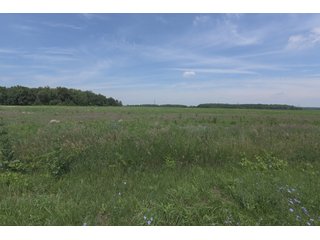 Property photo 44 - OHIO DAIRY DISPERSAL AUCTION - 160+/- ACRES OFFERED IN 5 TRACTS IN DEFIANCE COUNTY, OHIO