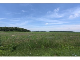 Property photo 41 - OHIO DAIRY DISPERSAL AUCTION - 160+/- ACRES OFFERED IN 5 TRACTS IN DEFIANCE COUNTY, OHIO