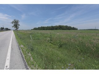Property photo 43 - OHIO DAIRY DISPERSAL AUCTION - 160+/- ACRES OFFERED IN 5 TRACTS IN DEFIANCE COUNTY, OHIO