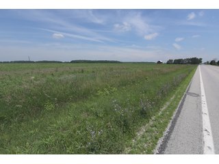 Property photo 48 - OHIO DAIRY DISPERSAL AUCTION - 160+/- ACRES OFFERED IN 5 TRACTS IN DEFIANCE COUNTY, OHIO