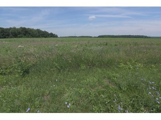 Property photo 40 - OHIO DAIRY DISPERSAL AUCTION - 160+/- ACRES OFFERED IN 5 TRACTS IN DEFIANCE COUNTY, OHIO