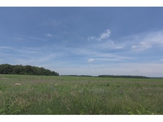Property photo 47 - OHIO DAIRY DISPERSAL AUCTION - 160+/- ACRES OFFERED IN 5 TRACTS IN DEFIANCE COUNTY, OHIO