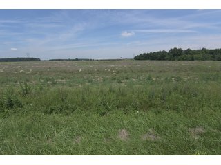 Property photo 45 - OHIO DAIRY DISPERSAL AUCTION - 160+/- ACRES OFFERED IN 5 TRACTS IN DEFIANCE COUNTY, OHIO