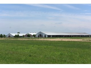Property photo 10 - OHIO DAIRY DISPERSAL AUCTION - 160+/- ACRES OFFERED IN 5 TRACTS IN DEFIANCE COUNTY, OHIO