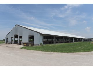 Property photo 12 - OHIO DAIRY DISPERSAL AUCTION - 160+/- ACRES OFFERED IN 5 TRACTS IN DEFIANCE COUNTY, OHIO