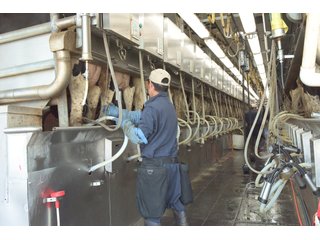 Property photo 26 - OHIO DAIRY DISPERSAL AUCTION - 160+/- ACRES OFFERED IN 5 TRACTS IN DEFIANCE COUNTY, OHIO