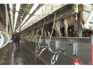 Property photo 27 - OHIO DAIRY DISPERSAL AUCTION - 160+/- ACRES OFFERED IN 5 TRACTS IN DEFIANCE COUNTY, OHIO