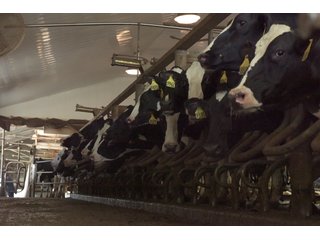 Property photo 20 - OHIO DAIRY DISPERSAL AUCTION - 160+/- ACRES OFFERED IN 5 TRACTS IN DEFIANCE COUNTY, OHIO