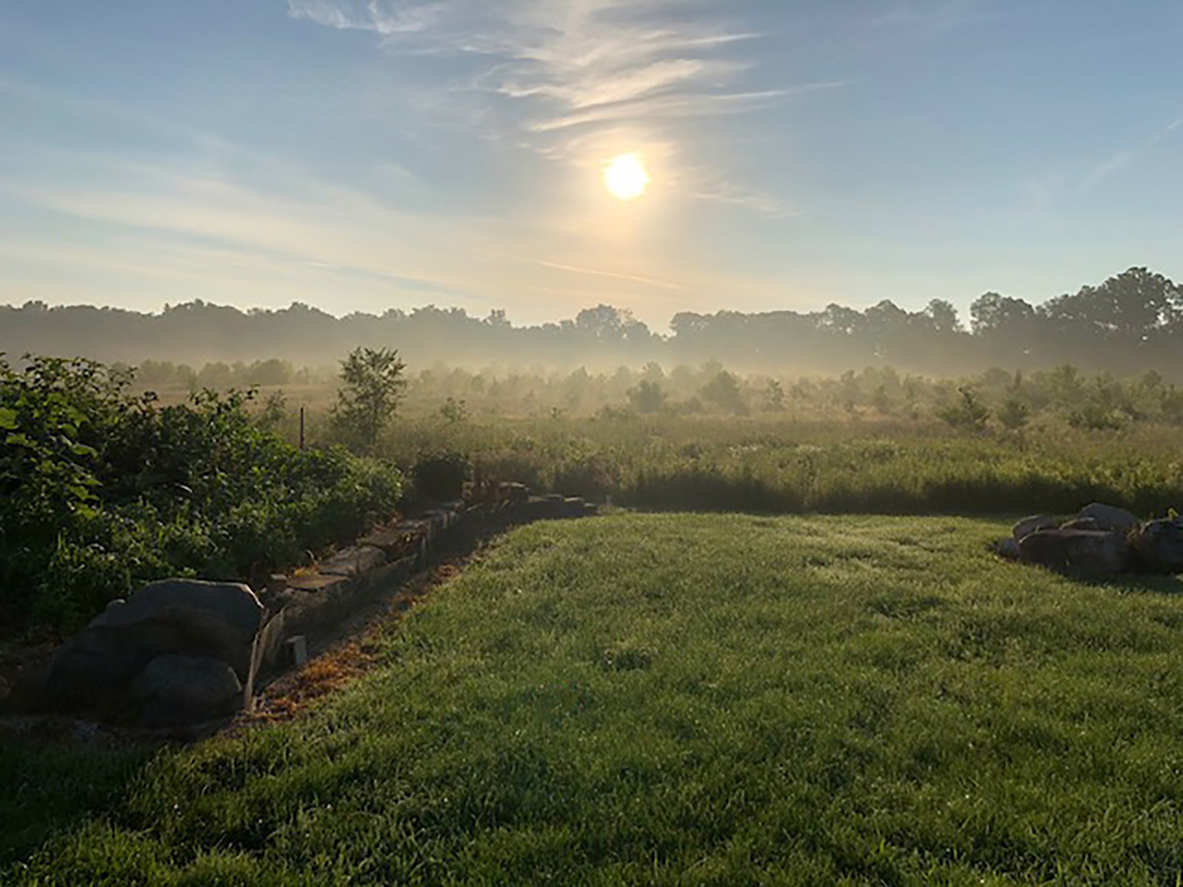 Property photo 37 - REAL ESTATE AUCTION - 26+/- ACRES IN 3 TRACTS IN SOUTHWEST ALLEN COUNTY, INDIANA