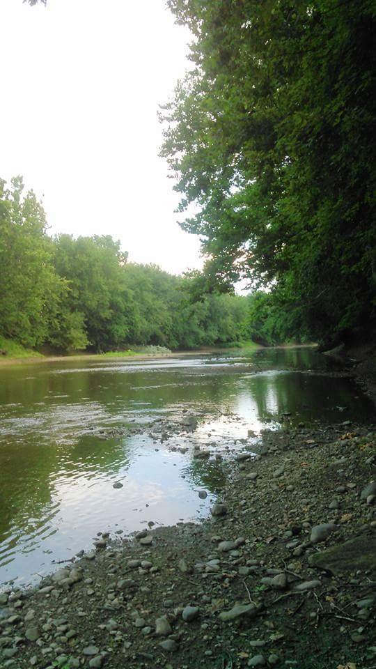 Property photo 24 - REAL ESTATE AUCTION - 26+/- ACRES IN 3 TRACTS IN SOUTHWEST ALLEN COUNTY, INDIANA