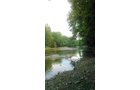 Property photo 24 - REAL ESTATE AUCTION - 26+/- ACRES IN 3 TRACTS IN SOUTHWEST ALLEN COUNTY, INDIANA