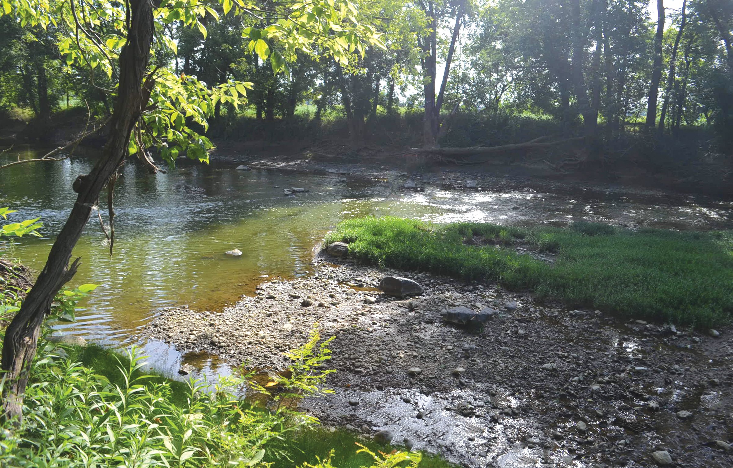 Property photo 25 - REAL ESTATE AUCTION - 26+/- ACRES IN 3 TRACTS IN SOUTHWEST ALLEN COUNTY, INDIANA