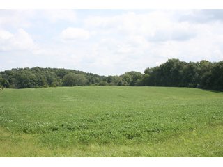 Property photo 10 - REAL ESTATE AUCTION - 100+/- ACRES IN 4 TRACTS IN WHITLEY COUNTY, INDIANA