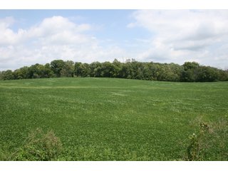 Property photo 9 - REAL ESTATE AUCTION - 100+/- ACRES IN 4 TRACTS IN WHITLEY COUNTY, INDIANA