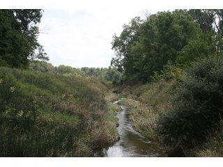 Property photo 11 - REAL ESTATE AUCTION - 100+/- ACRES IN 4 TRACTS IN WHITLEY COUNTY, INDIANA