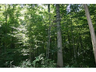 Property photo 13 - REAL ESTATE AUCTION - 100+/- ACRES IN 4 TRACTS IN WHITLEY COUNTY, INDIANA