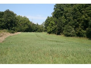 Property photo 15 - REAL ESTATE AUCTION - 100+/- ACRES IN 4 TRACTS IN WHITLEY COUNTY, INDIANA